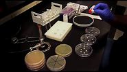 Testing an Antibiotic Using a Disk Diffusion Assay - Kirby Bauer Method
