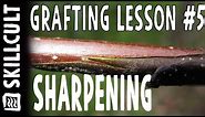 Grafting Series Lesson #5 Sharpening a Grafting Knife