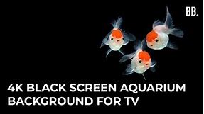 4K Black Screen Fish Aquarium ScreenSaver for TV, PS5, XBOX, PC, APPLE DEVICES | For Sleep