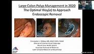 Large Colon Polyp Management in 2020: The Optimal Way(e) to Approach Endoscopic Removal
