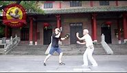 Basic Techniques of Dragon Style Kung Fu (Focus Mitt Drills)