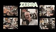 Zebra - Who's Behind the Door Cover