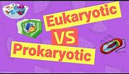 Difference Between Prokaryotic and Eukaryotic Cells