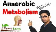 Anaerobic respiration | anaerobic metabolism