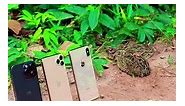 wow! amazing bird trap using iPhone 11 14 pro max & paper box #shorts #shortsreels #reelsvideo #ytshorts #quail #quailhijab #quails #quaileggs #quailsofinstagram #birds #quailhijabgrosir #birdsofinstagram #quailhijabsolo #wachteln #quailhijaboriginal #jilbab #quailhijabklaten #wachtel #quailhijabori #hijab | Bird Trap