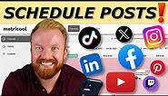 Why Metricool Is the BEST Social Media Post Scheduler | 3-Month Review