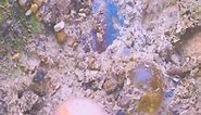 #crystalhealing #healingcrystals #chakra #crystals #love #chakras #handmade #healing #gemstones #nature #gemstone #spirituality #crystallove #gems #quartz #chakrahealing #energy #fashion #witch #jewelry | Natural life hup