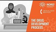 The Drug Development Process