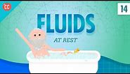 Fluids at Rest: Crash Course Physics #14