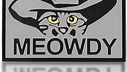 Meowdy PVC Patch, Meme Moral Patch, Tactical Military Morale Hook and Loop Patch, Tactical Patch Gear for Backpack, Bag, Coat, Dog Harness, Vest, Hat and Helmet, Funny 3D Rubber Patch