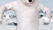 Does the polar bear get on the #foryoupage ??? #polarbear #dancingpolarbear