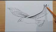 How to draw an eagle step by step