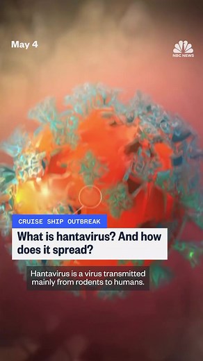 Hantavirus: Understanding Risks and Spread