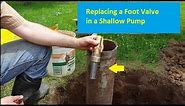 Replacing a Well Foot Valve