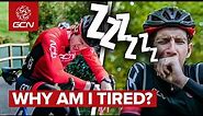 Why You're Always Tired