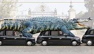 The biggest crocodile EVER &#128010;