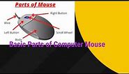 Basic Parts of Computer Mouse