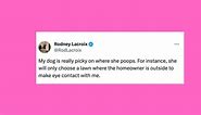 20 Of The Funniest Tweets About Cats And Dogs This Week (Jan. 27-Feb. 2)