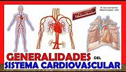 🥇 SISTEMA CIRCULATORIO en 18 Minutos!! (Aparato Cardiovascular). ¡Fácil y Sencillo!