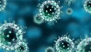 Bacterial vs. Viral Infections: When is it Time for Antibiotics?