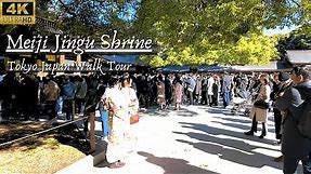 [4K] Meiji Jingu Shrine Tokyo ~ Meiji Shinto Shrine japan Walk Tour ~ 2024.1.8