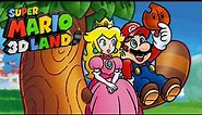 Super Mario 3D Land - Full Game Walkthrough