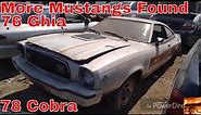 1978 Mustang II Cobra 1976 Ghia Junkyard Find