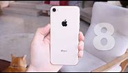 Apple iPhone 8 First Look (Gold)
