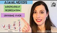 MEIOSIS A-Level Biology - How CROSSING OVER and INDEPENDENT SEGREGATION introduce genetic variation