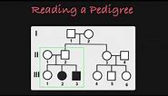 How to Read a Pedigree