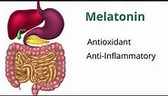 Understanding Melatonin with Dr. Carrie Jones