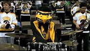 Inside the Mind of a Mascot: Herky the Hawk
