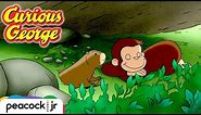 A Different Day for Groundhogs | CURIOUS GEORGE