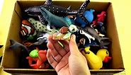 Box Of Toys Sea Animals Learn Sea Animal Names Educational Shark Toy Video For Kids