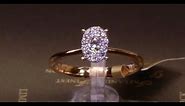 #56185 | T0.26ct | Oval Shaped Cluster | 18ct Rose Gold