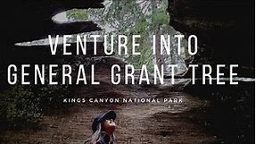 General Grant Tree | Kings Canyon National Park