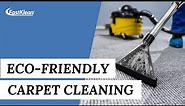 Eco-Friendly CARPET CLEANING Safe Solutions for a Clean Home (Eco-Friendly CLEANING)