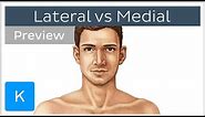 What's the Difference Between Lateral and Medial? (preview) - Human Anatomy | Kenhub