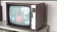 Erres RS9685 K6 color TV (= Philips X25K121 )