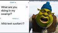 What are you doing in my swamp!? in different languages meme
