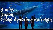 Tour Japan - Osaka Aquarium under 3 minutes