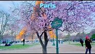 Paris, France 🇫🇷 | The World's Most Romantic City | 4K-HDR 60fps Walking Tour