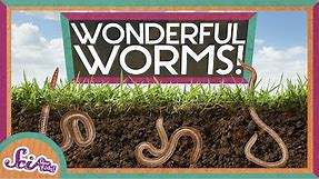 Worms Are Wonderful | Amazing Animals | Backyard Science | SciShow Kids