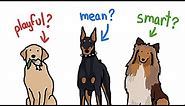How Different Are Different Types of Dogs?