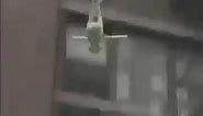 Kermit the Frog commits suicide