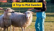 A trip to Sweden – Mid-Sweden