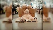 This Giant Costco Teddy Bear is America's New Best Friend