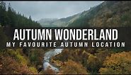 My favourite AUTUMN PHOTO LOCATION | SONY RX100 III Landscape Photography