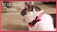 DIY Cat Collar Tutorial | Bow & Bow Tie