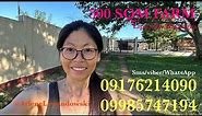Vlog568: 500 SQM MINI FARM WITH MOUNTAIN VIEW IN LIPA CITY BATANGAS PHILIPPINES FOR SALE | SOLD SOLD